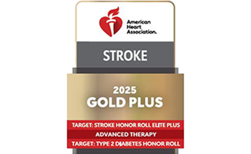 get with the guidelines stroke gold plus award